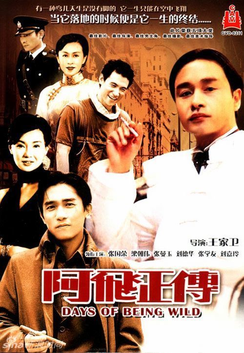 怎么购买斯洛文尼亚驾照